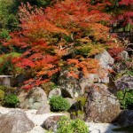 Kyoto Uji Autumn leaves 2012 #5